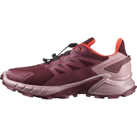 Salomon Supercross 4 GTX Women, tawnyp/deauvi/chert