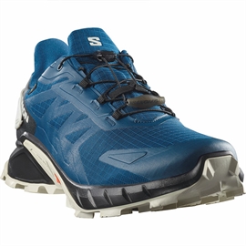 Salomon Supercross 4 GTX Men, poseidon