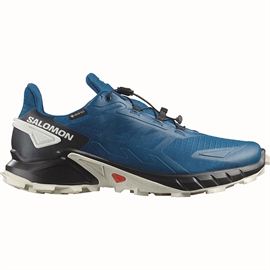 Salomon Supercross 4 GTX Men, poseidon