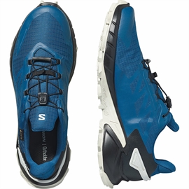 Salomon Supercross 4 GTX Men, poseidon