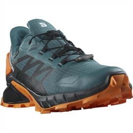 Salomon Supercross 4 GTX Men, stargazerbl/turmeric