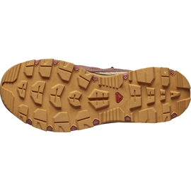 Salomon Techamphibian 5.0 Women, cedar wood/bucksk.