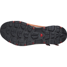 Salomon Techamphibian 5.0 Men, spice route/b.henna