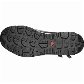 Salomon Techamphibian 5.0 Men, castlerock/willow/blk
