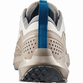 Salomon Terramphibian Men, rainy day/desert/mb