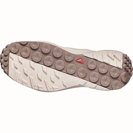 Salomon Terramphibian Women, vanilla/taploc/shadow