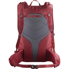 Salomon Trailblazer 30 L rygsæk, aura orange / fiery red