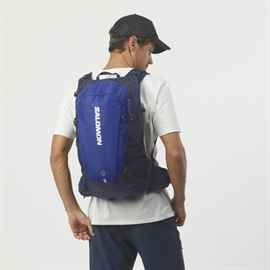 Salomon Trailblazer 30 L rygsæk, surf the web / bl.iris