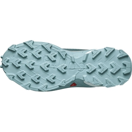 Salomon Alphacross 4 Women, stargazer-38 2/3 / UK 5,5