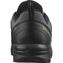 Salomon X Braze GTX Men, magnet/black