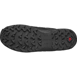 Salomon X Braze GTX Men, magnet/black