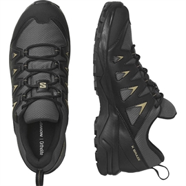 Salomon X Braze GTX Men, magnet/black