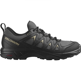 Salomon X Braze GTX Men, magnet/black