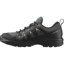 Salomon X Braze GTX Men, magnet/black