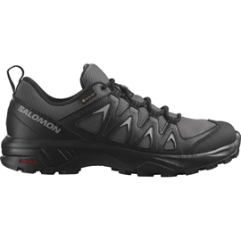 Salomon X Braze GTX Women, black