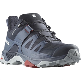 Salomon X Ultra 4 GTX Men, carbon/bering sea