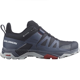 Salomon X Ultra 4 GTX Men, carbon/bering sea