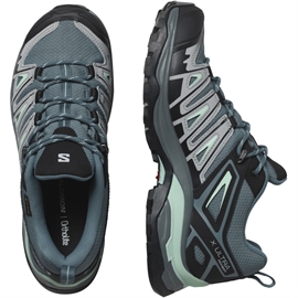 Salomon X Ultra Pioneer GTX Women, stormy w./alloy