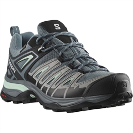 Salomon X Ultra Pioneer GTX Women, stormy w./alloy