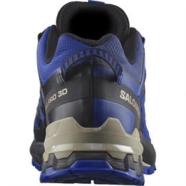 Salomon XA Pro 3D v9 GTX Men, blue print/stw/lb