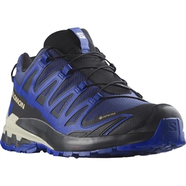 Salomon XA Pro 3D v9 GTX Men, blue print/stw/lb