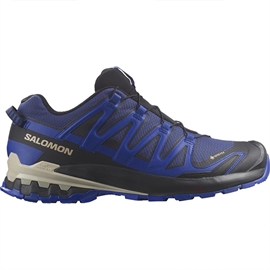 Salomon XA Pro 3D v9 GTX Men, blue print/stw/lb