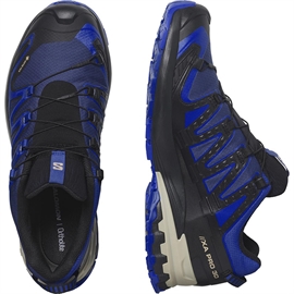 Salomon XA Pro 3D v9 GTX Men, blue print/stw/lb