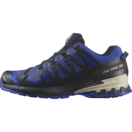 Salomon XA Pro 3D v9 GTX Men, blue print/stw/lb