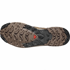 Salomon XA Pro 3D v9 Men, falcon/desert