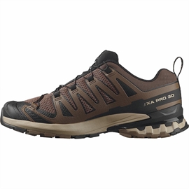 Salomon XA Pro 3D v9 Men, falcon/desert