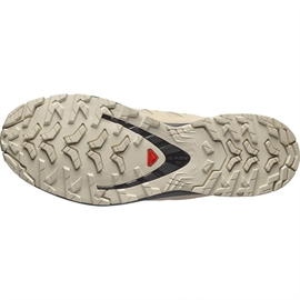 Salomon XA Pro 3D v9 GTX Men, oxford tan/clrock
