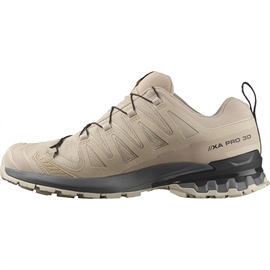 Salomon XA Pro 3D v9 GTX Men, oxford tan/clrock