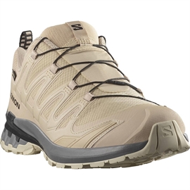 Salomon XA Pro 3D v9 GTX Men, oxford tan/clrock