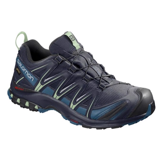 Salomon XA Pro 3D GoreTex Women, navy blaze/lyons