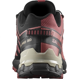 Salomon XA Pro 3D v9 GTX Women, c.hide/blk/f.rose