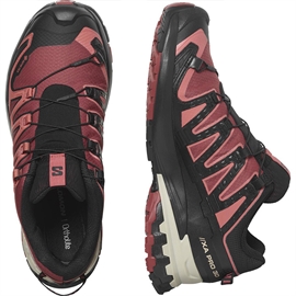 Salomon XA Pro 3D v9 GTX Women, c.hide/blk/f.rose