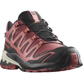 Salomon XA Pro 3D v9 GTX Women, c.hide/blk/f.rose