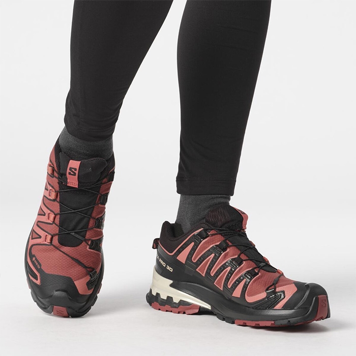 Salomon XA Pro 3D v9 GTX Women, c.hide/blk/f.rose - Vandresko