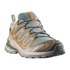 Salomon XA Pro 3D v9 GTX Men, sedsa/brilli/paloma