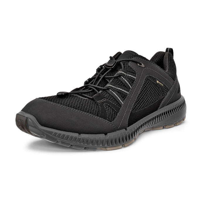 ECCO Terracruise II Men GTX, black/black