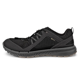 ECCO Terracruise II Men GTX, black/black