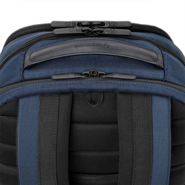 Victorinox Altmont Professional Essentials Laptop Backpack 24L