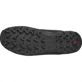 Salomon X Braze Mid GTX Men, black/phantom/vk