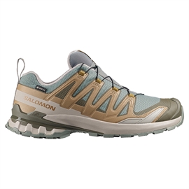 Salomon XA Pro 3D v9 GTX Men, sedsa/brilli/paloma