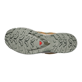 Salomon XA Pro 3D v9 GTX Men, sedsa/brilli/paloma