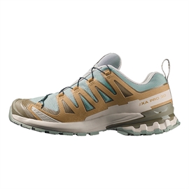 Salomon XA Pro 3D v9 GTX Men, sedsa/brilli/paloma