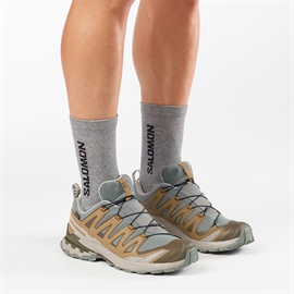 Salomon XA Pro 3D v9 GTX Men, sedsa/brilli/paloma