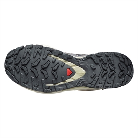 Salomon XA Pro 3D v9 GTX Women, iron/oxford/alfalf