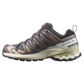 Salomon XA Pro 3D v9 GTX Women, iron/oxford/alfalf
