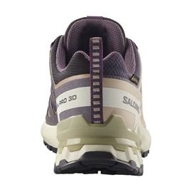 Salomon XA Pro 3D v9 GTX Women, iron/oxford/alfalf